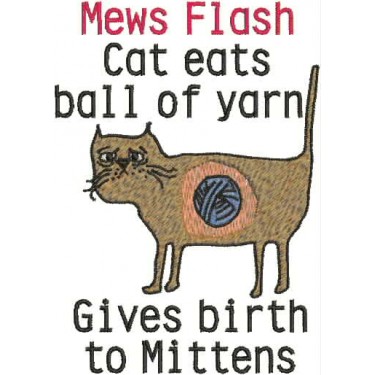 CAT ATE YARN