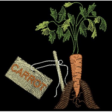 FARMERS MARKET CARROT