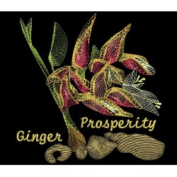 FARMERS MARKET GINGER