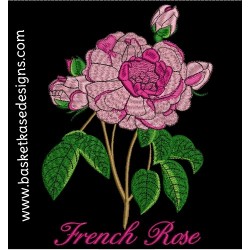 FRENCH ROSE