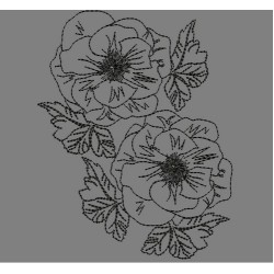 LINEWORK ANEMONE