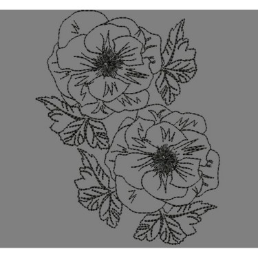 LINEWORK ANEMONE