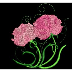 LOVELY CARNATIONS