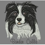 ANA BORDER COLLIE COLORWASH