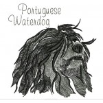ANA PORTUGUESE WATERDOG COLORWASH