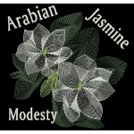 ARABIAN JASMINE