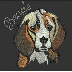 BEAGLE COLORWASH