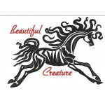 BEAUTIFUL CREATURE 6