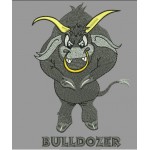 BOOM BULL