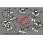 COMMON SCENTS