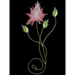DELICATE PETALS