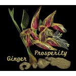 FARMERS MARKET GINGER