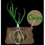 FARMERS MARKET ONION
