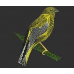FINCH