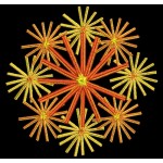 FLORAL PINWHEEL3