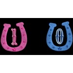 HORSESHOE NUMBER SET
