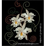 IRIS BONANZA
