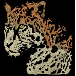 JAG