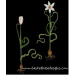 LIFE BULBS