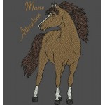 MANE ATTRACTION
